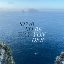 Stornoway, Vinyl BEYONDER