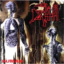 CD HUMAN
