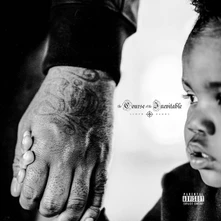 Lloyd Banks, Vinyl The Course Of The Inevitable