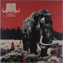 Vinyl UNDER ACID HOOF