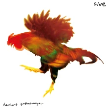Vinyl GRONEMEYER, HERBERT - LIVE