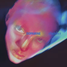 CD DOPAMINE CHAMBER