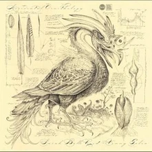 Sarah Belle Reid, CD ACCIDENTAL ORNITHOLOGY