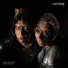 Vinyl NOCHDVEGL