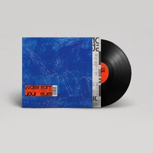 Water From Your Eyes, Vinyl IT'S A BEAUTIFUL PLACE