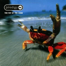 The Prodigy, Vinyl The Fat Of The Land
