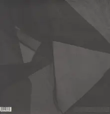 Lykke Li – I NEVER LEARN (Vinyl)