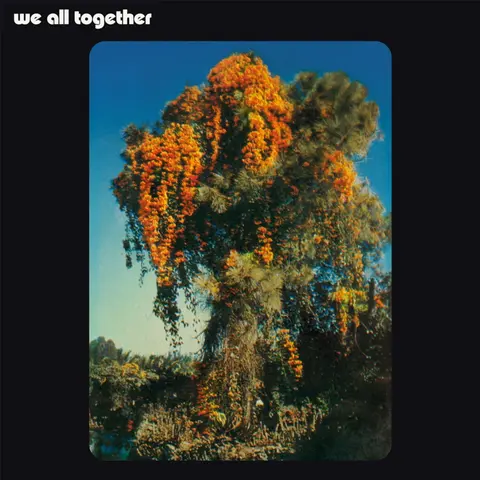 WE ALL TOGETHER - WE ALL TOGETHER