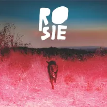 Kaycie Satterfield, Vinyl ROSIE