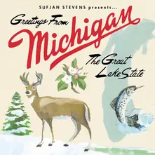 Vinyl MICHIGAN