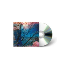 CD IDLEWILD
