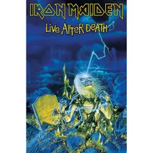 Plagát Live After Death