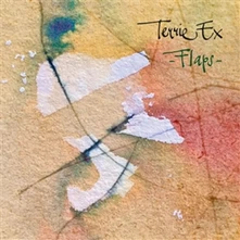 Terrie Ex, Vinyl FLAPS!