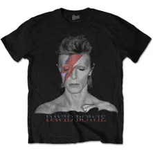 Aladdin Sane