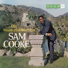 Billy Bang, Vinyl THE WONDERFUL WORLD OF SAM COOKE