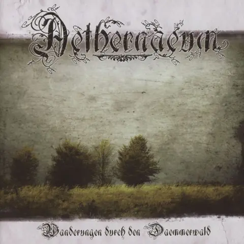 Wanderungen Durch Den Dammerwald