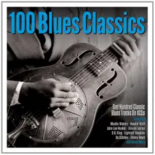 Various Artists – 100 BLUES CLASSICS (CD)