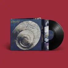 Snail Mail, Vinyl RICOCHET