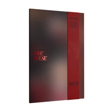 TREASURE, CD Love Pulse