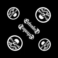 Skull Logo