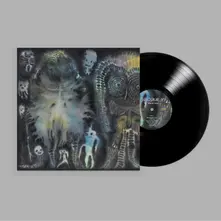Dinosaur Jr., Vinyl THERE NEAR