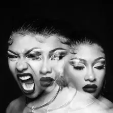 Megan Thee Stallion, Vinyl Traumazine