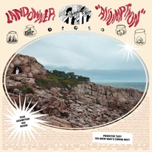 Landowner, Vinyl ASSUMPTION