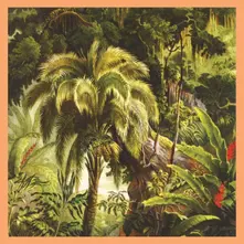 Xiu Xiu – LA FORET (2026) (Vinyl)
