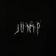 Vinyl JUNIP