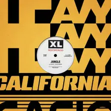 Jungle – HEAVY CALIFORNIA (Vinyl)