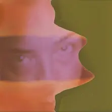 SHADE thumbnail