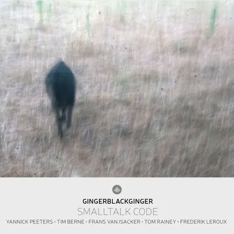 Yannick Peeters – CD SMALLTALK CODE