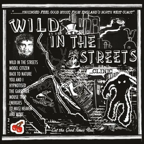 WILD IN THE STREETS