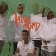 Vinyl Hive Mind
