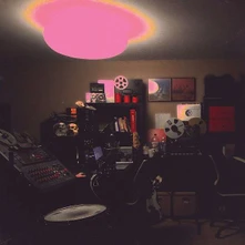 Vinyl MULTI-LOVE