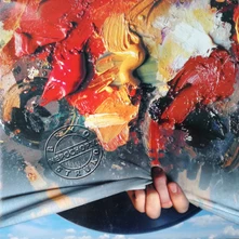 Vinyl Nepochopil (EP)