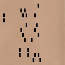 Vinyl PUNCH CARD
