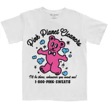 Pink Cleaners thumbnail