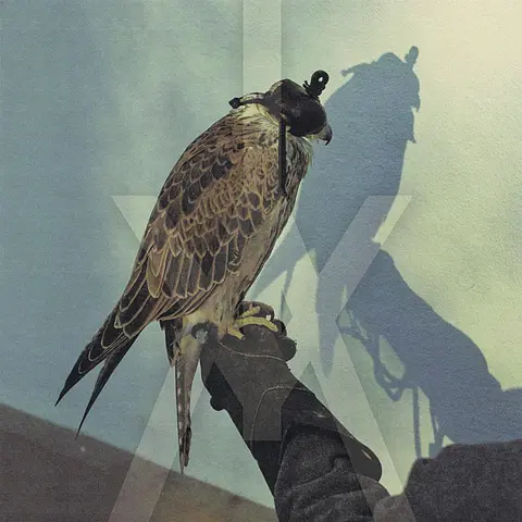 Iceage – CD YOU'RE NOTHING