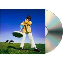 Declan McKenna, CD What Happened to the Beach?