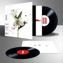 Vinyl HIDDEN CITY