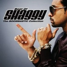 CD THE BOOMBASTIC COLLECTION