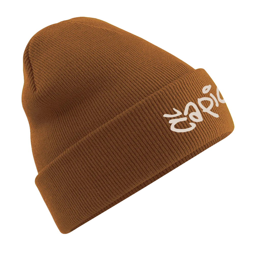 Čapica