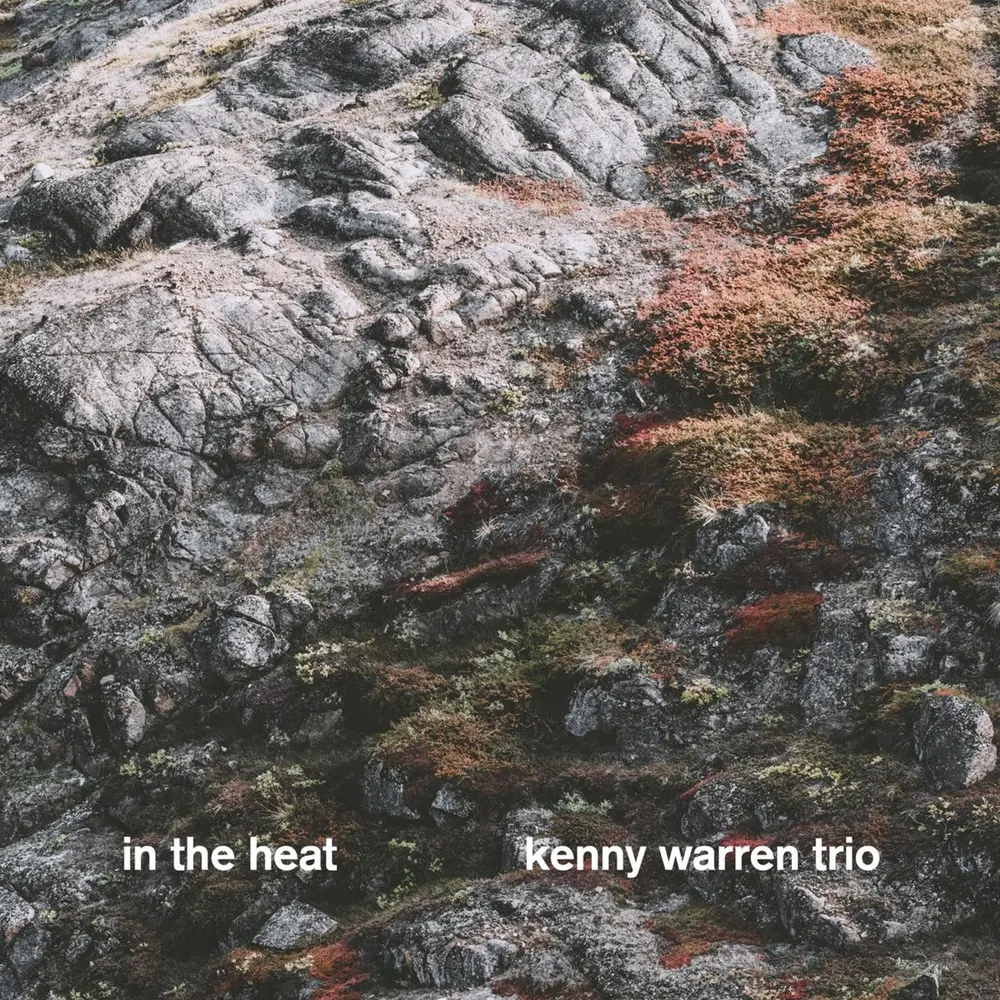 TRIO- - IN THE HEAT