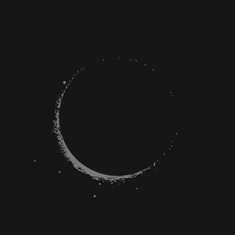 Son Lux – Vinyl LANTERNS