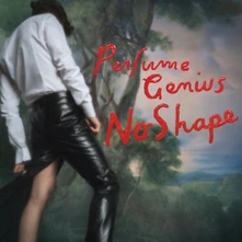 Perfume Genius, Vinyl NO SHAPE