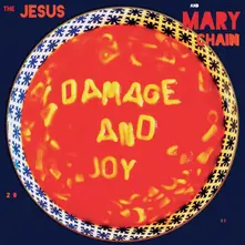 CD DAMAGE AND JOY