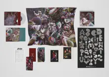 Björk – Fossoræ (Deluxe Edition) (Vinyl)