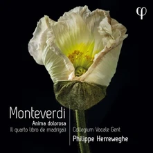 Collegium Vocale Gent, CD MONTEVERDI: IL QUARTO LIBRO DE MADRIGALI