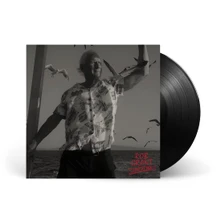 Rob Grant, Vinyl Lost At Sea